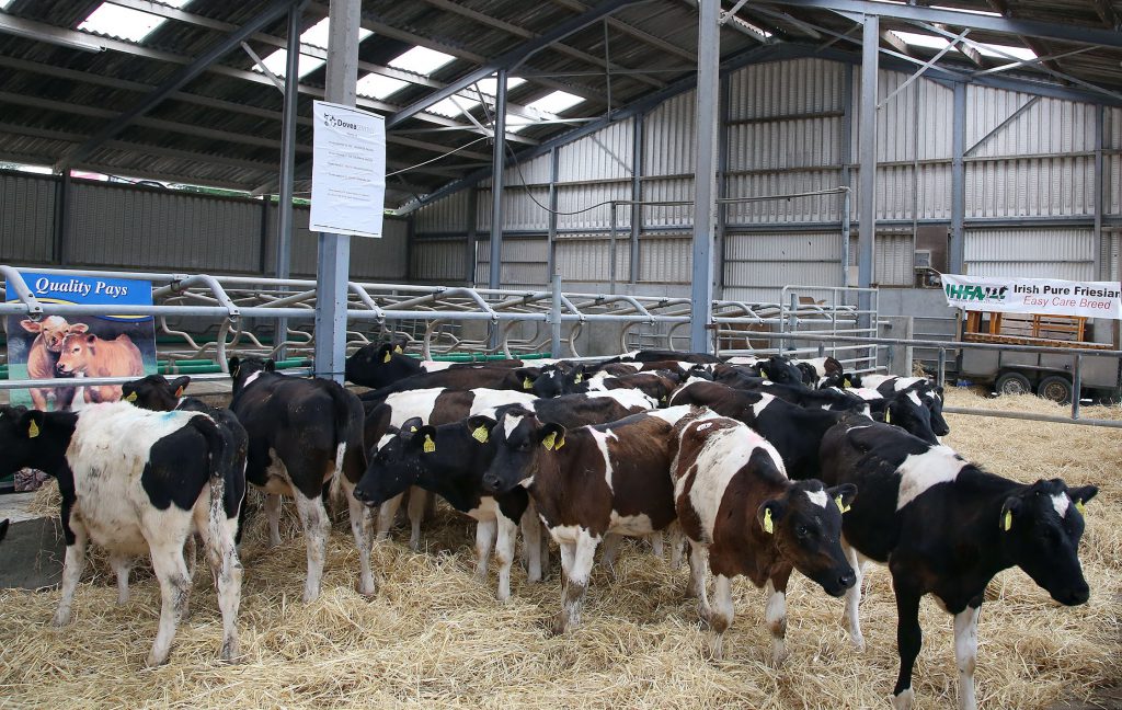 Image source: Maria Kelly