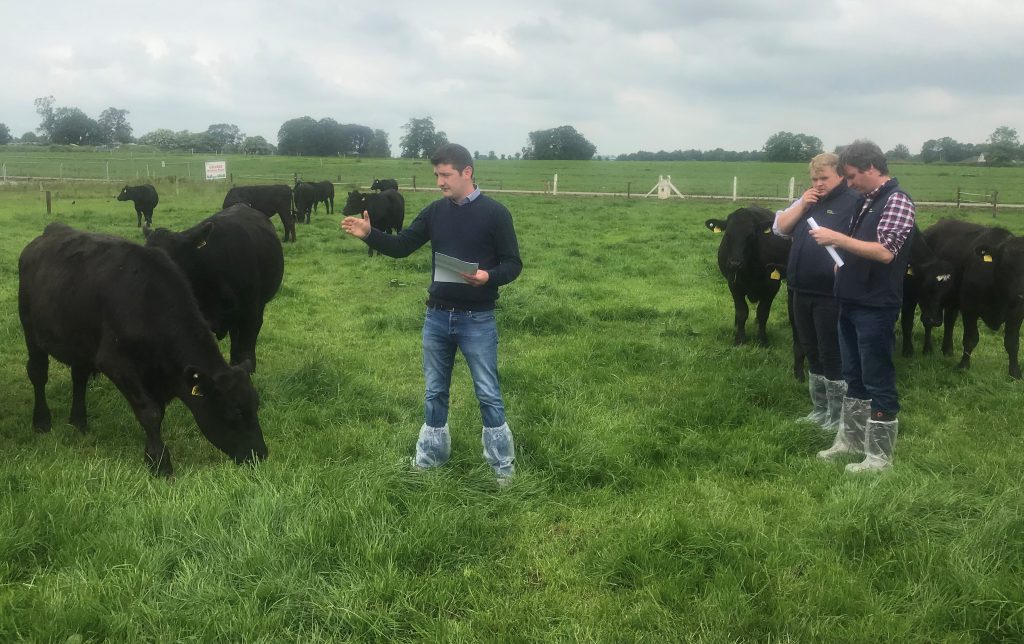Researcher Nicky Byrne and dedicated programme advisor Sean Cummins and programme manager Alan Dillon