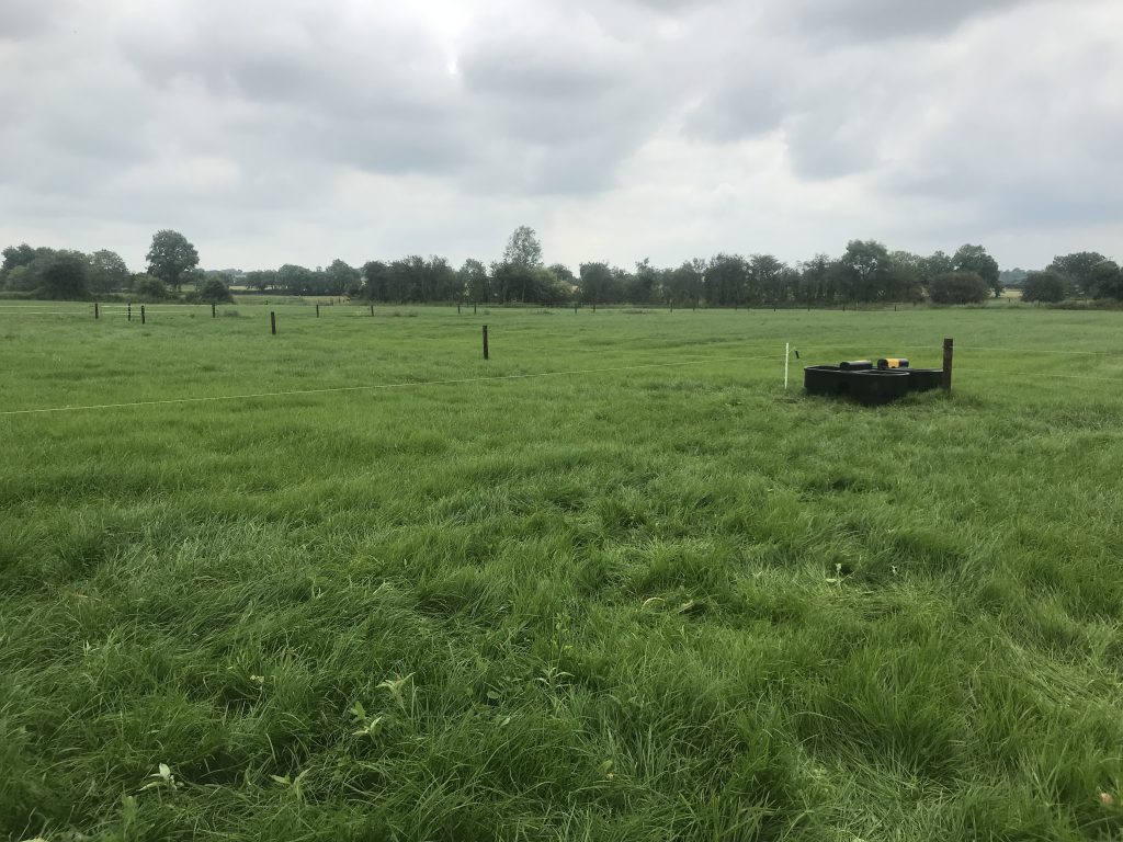 Drained and reseeded paddocks on the farm