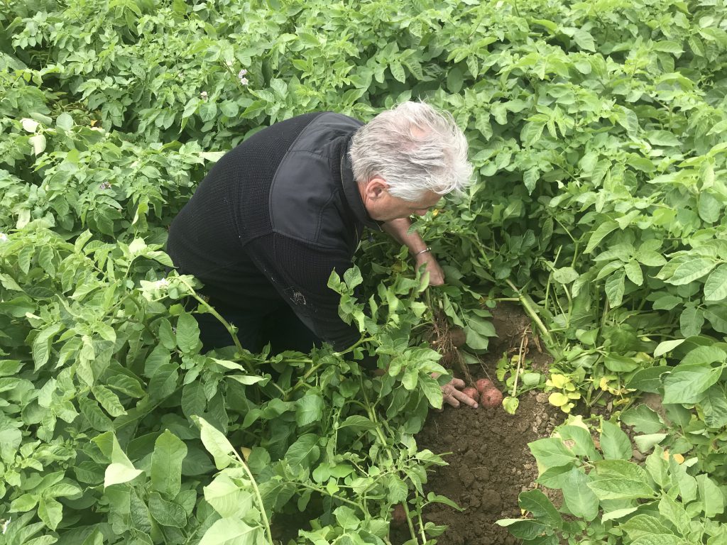 Ivan checking crop progress