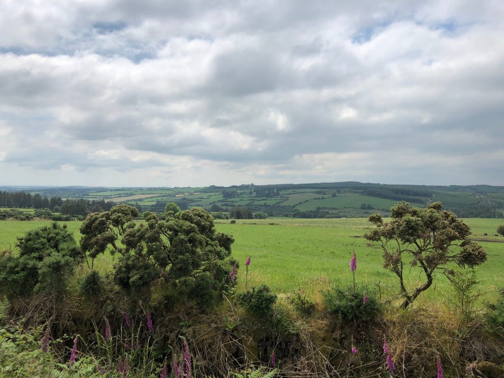 A third wind farm could be on the way for north Waterford