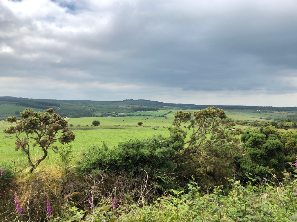 Part of the area in north Waterford where the Lyrenacarriga Wind Farm will be developed