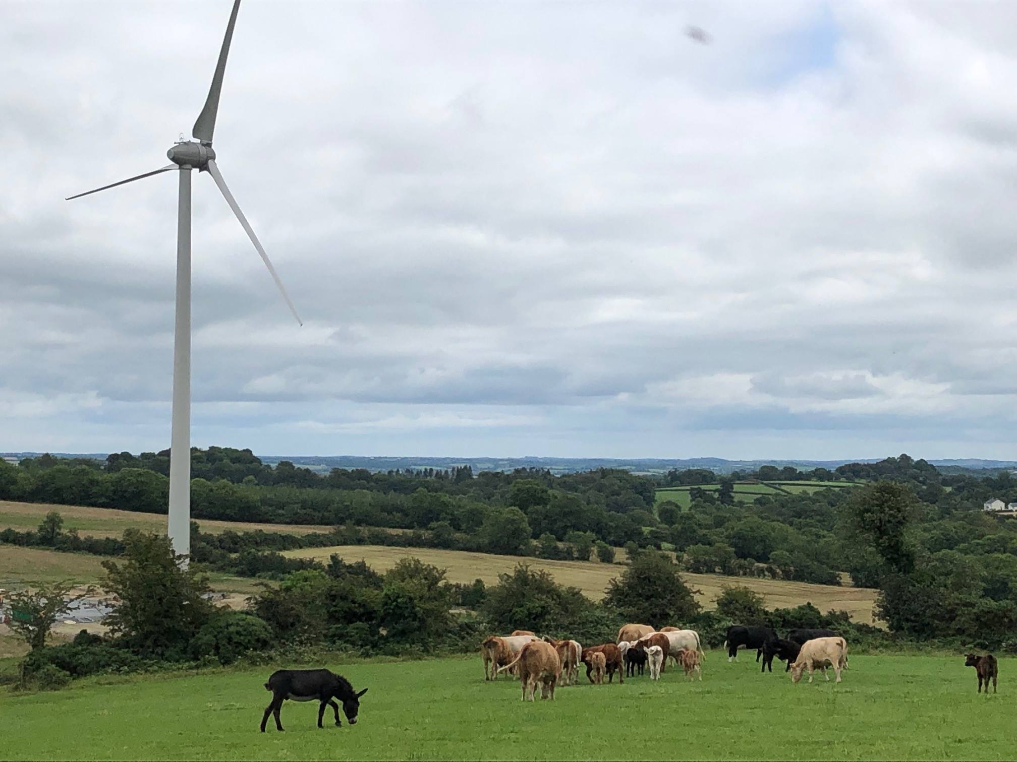 The scene this week in Kingscourt