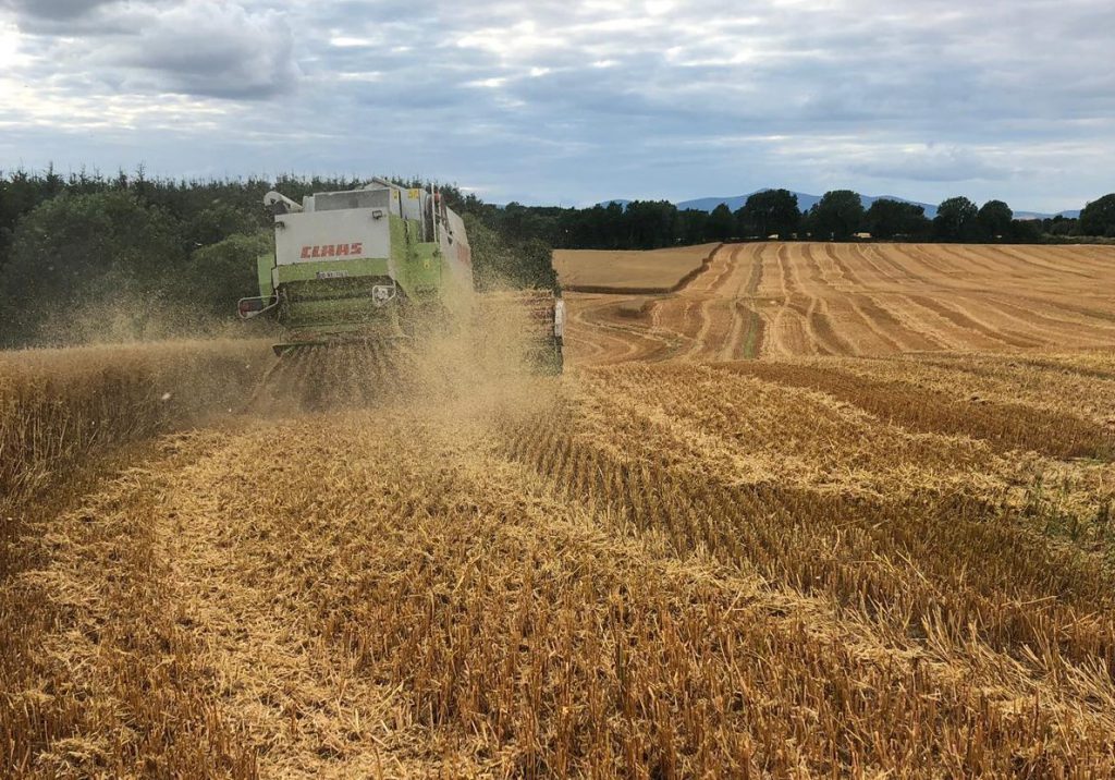 Mark Brown was chopping the straw in this field of winter oats during the harvest