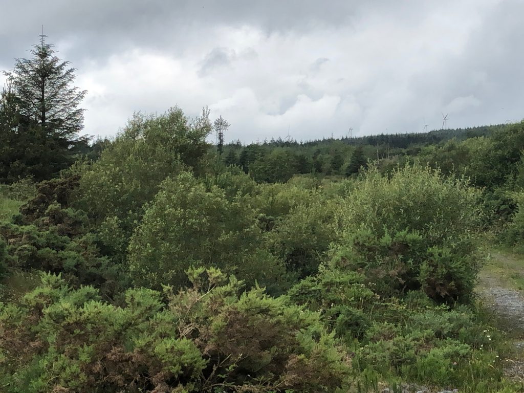 The mountainous terrain where the Derrybrien Wind Farm was built