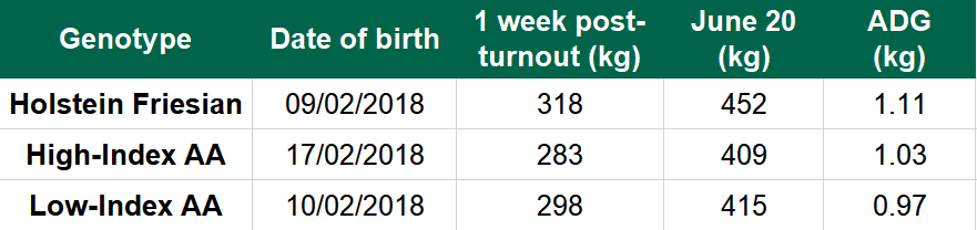 Yearling performance for second grazing season up to June 20, 2019