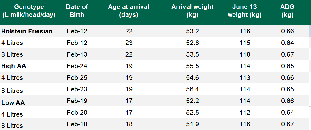 Calf performance and milk feeding level: June 13, 2019