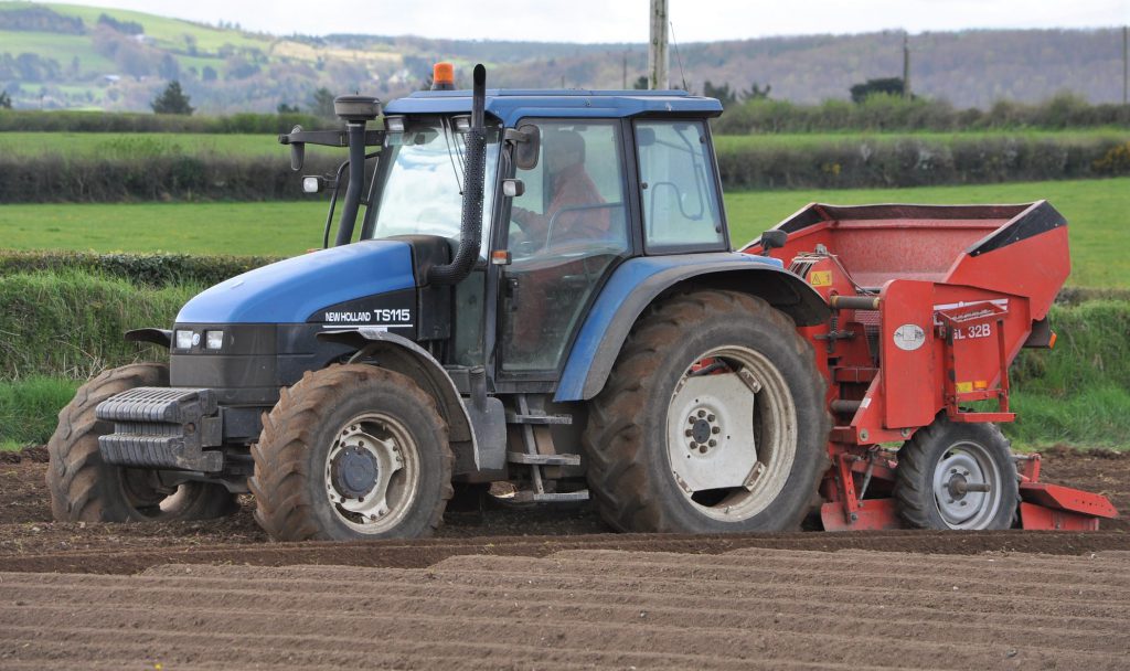 Image source: Shane Casey