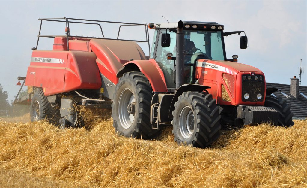 Image source: Shane Casey