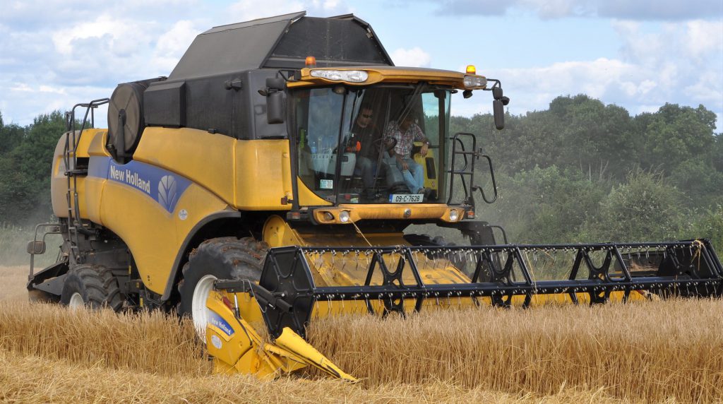 Image source: Shane Casey