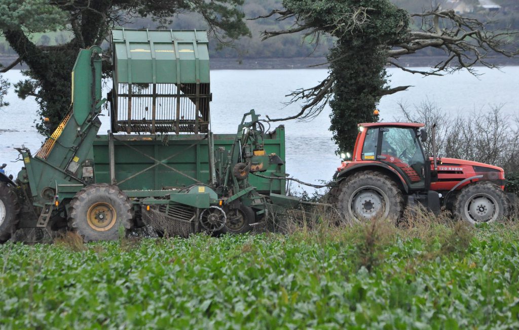 Image source: Shane Casey