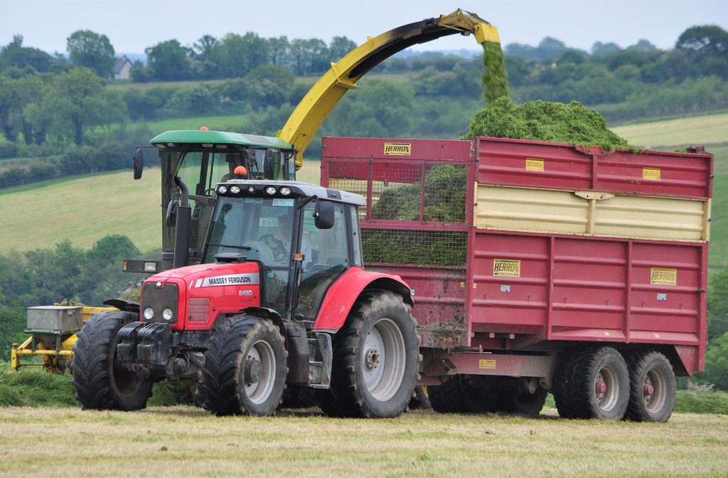 Image source: Shane Casey