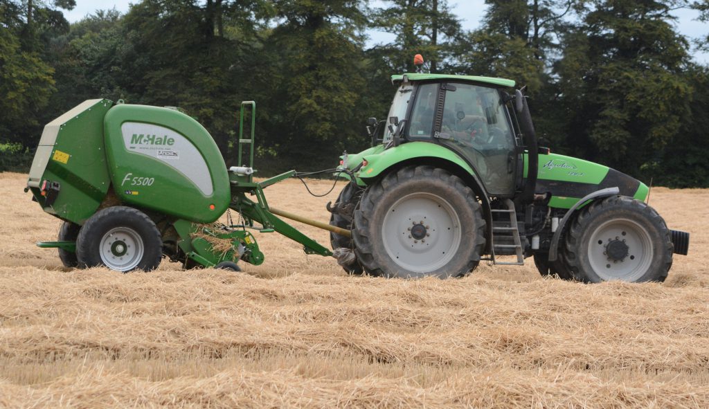 Image source: Shane Casey