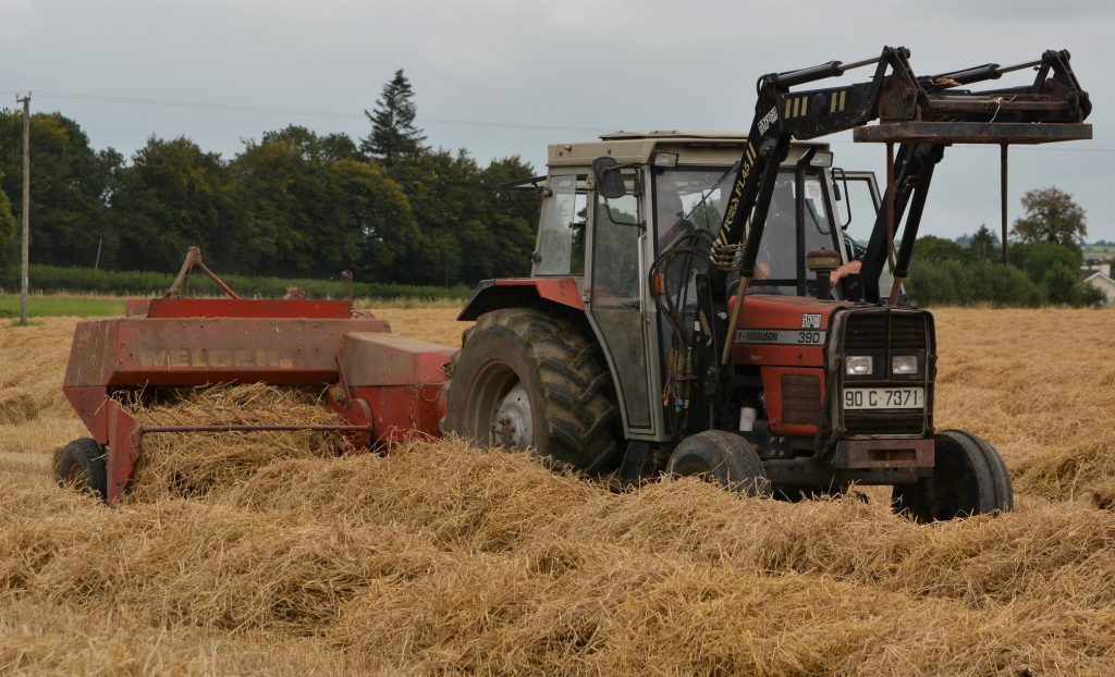 Image source: Shane Casey