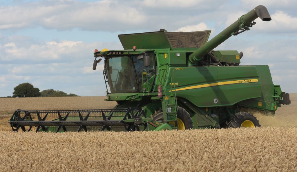 Image source: Shane Casey