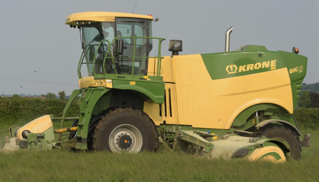 Image source: Shane Casey