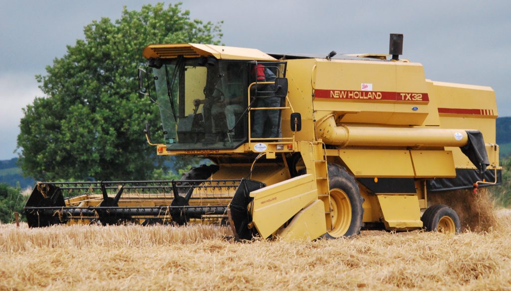 Image source: Shane Casey