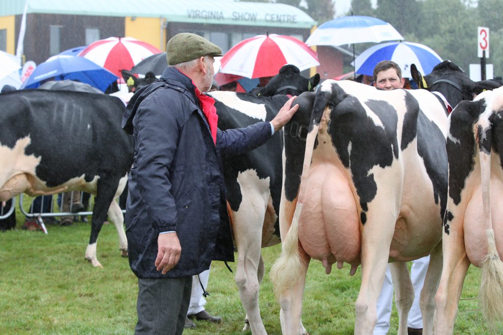 Image source: John Caffrey