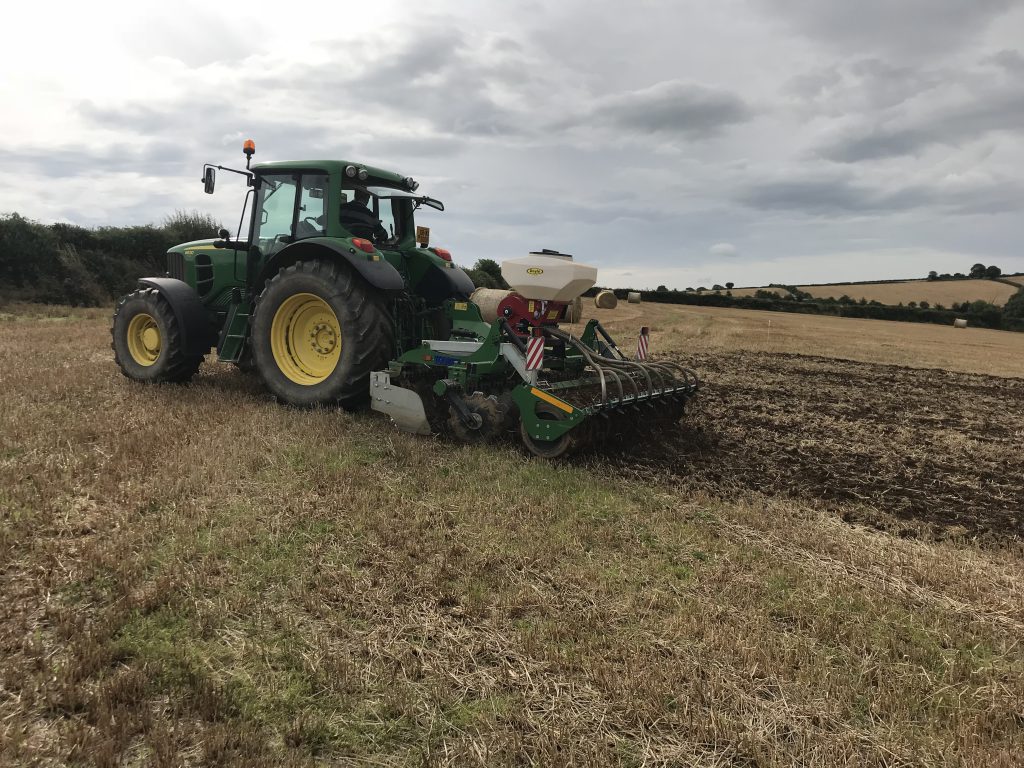 Planting catch crops in preparation for the demo day in Ferns