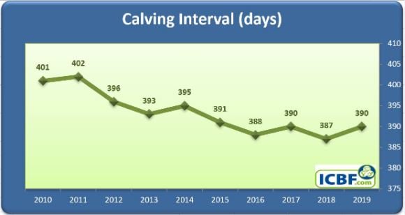 10-year national calving interval trend. Image source: ICBF
