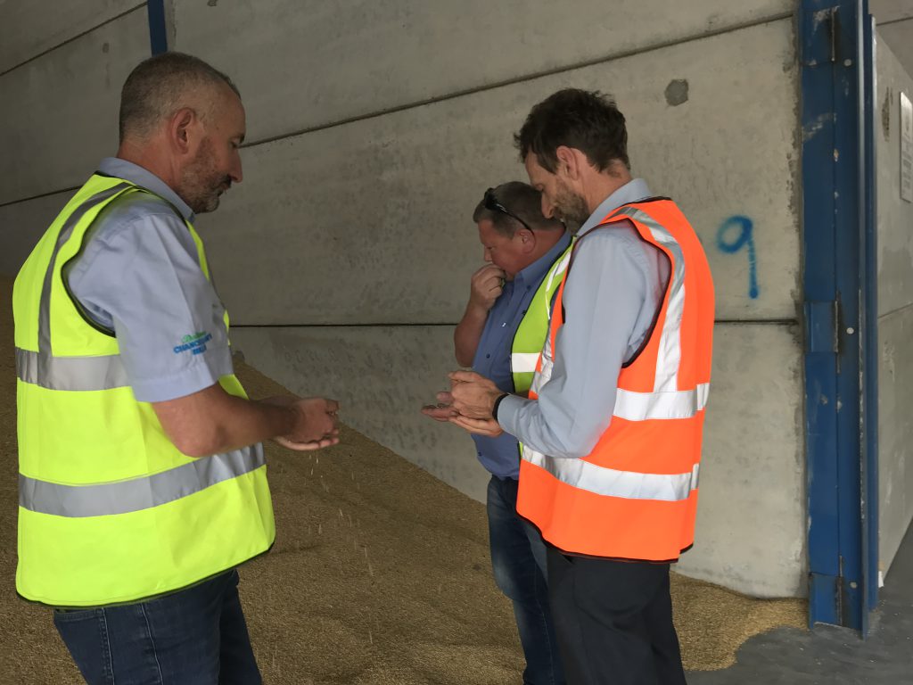 John and Denis Dalton with Ned Gahan in the ‘Cathedral of Barley’