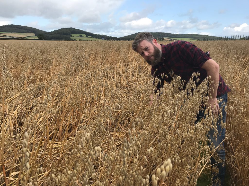 Clive Carter in his crop of winter oats