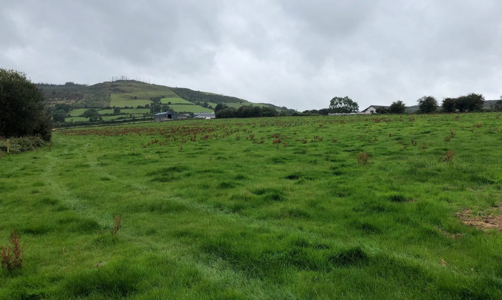 Picturesque south Armagh