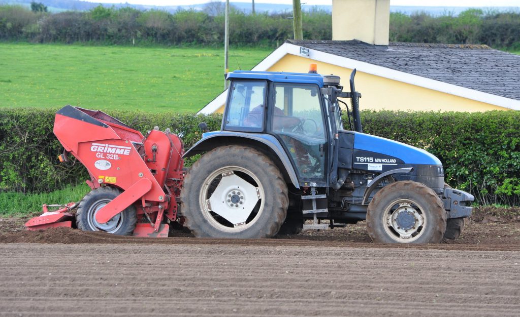 Image source: Shane Casey