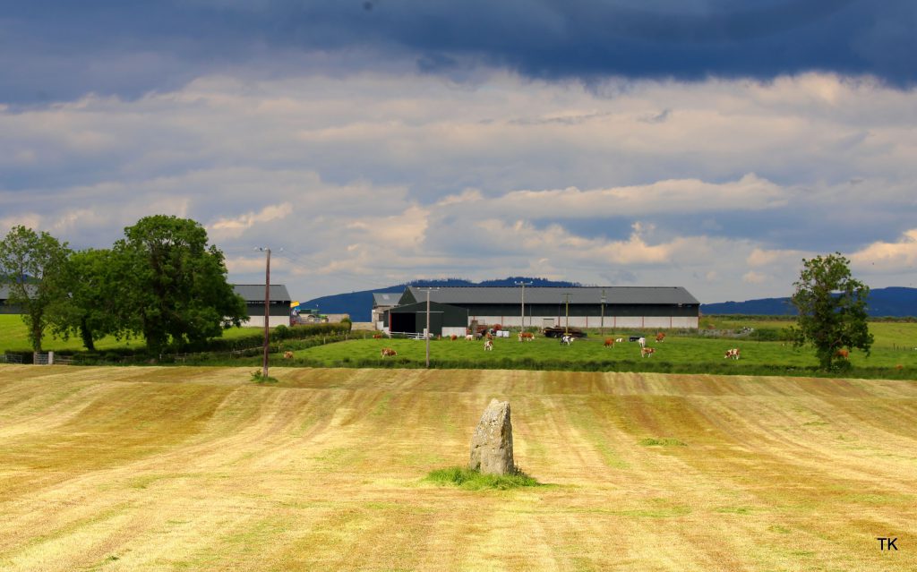 Image source: Tricia Kennedy