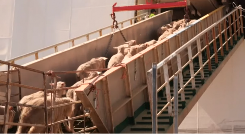 Image source: ABC News