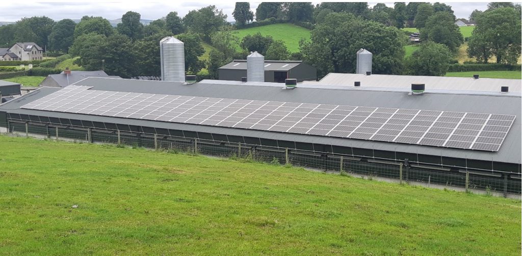 50kWp Local Power Ltd solar PV system install on farm in Monaghan