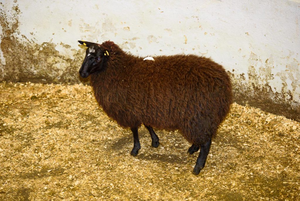 Image source: Clive Wasson