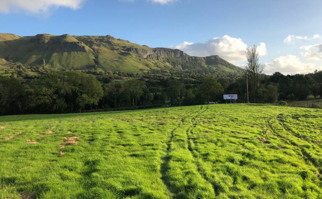 Mud snails are commonly found on heavy and wet pastures such as this one pictured above