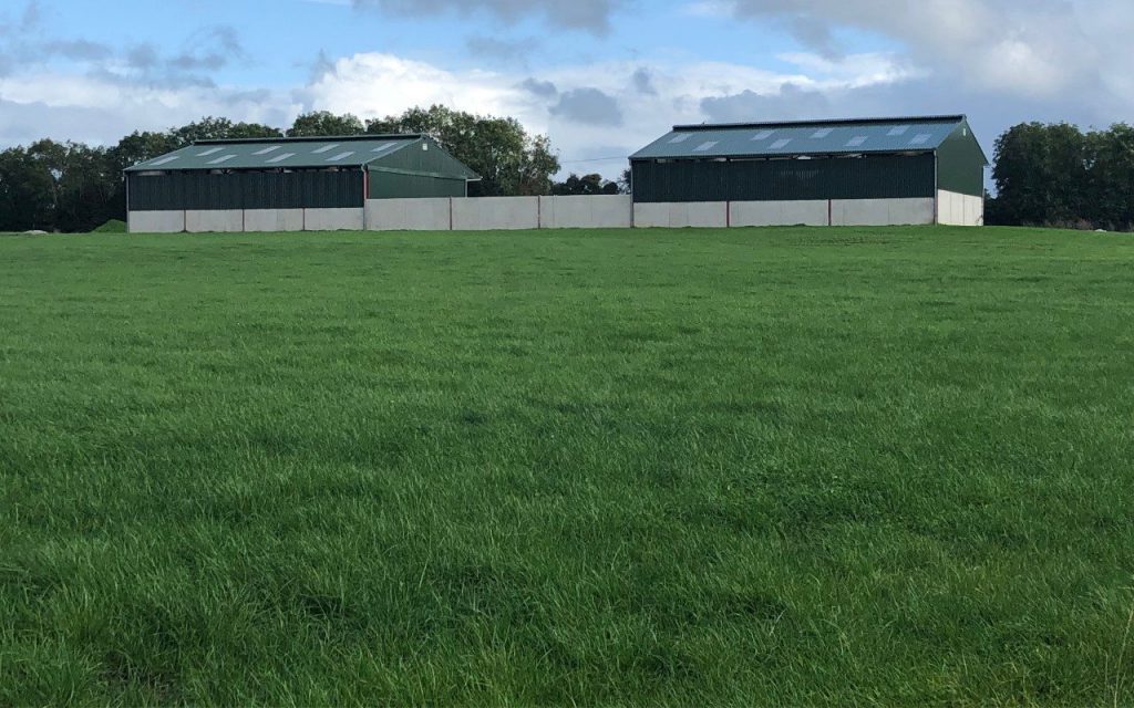 Land reseeded this year beside the new housing facilities