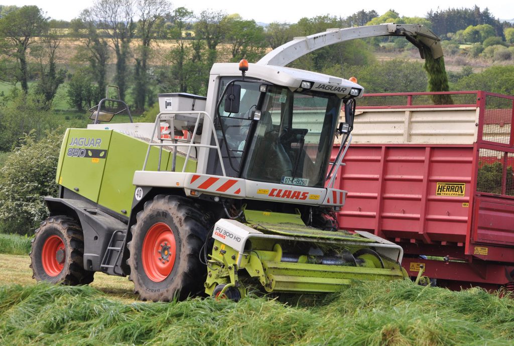 Image source: Shane Casey