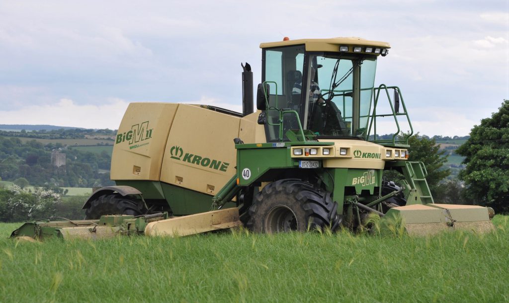 Image source: Shane Casey