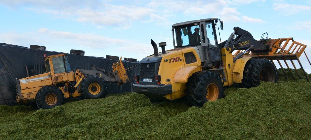 Image source: Shane Casey