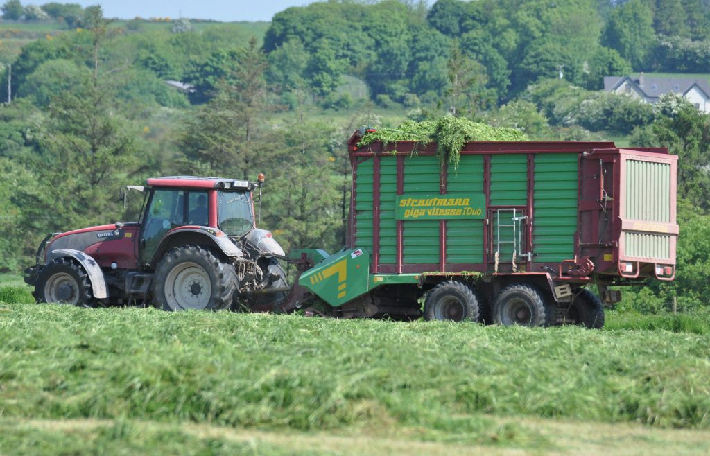 Image source: Shane Casey