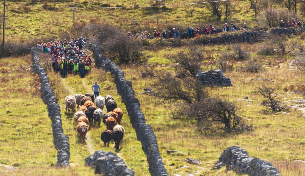 Image source: Martin Kiely