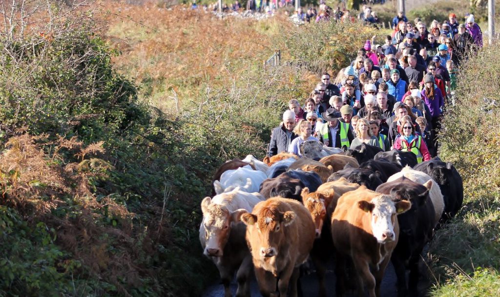 Image source: William O’Reilly