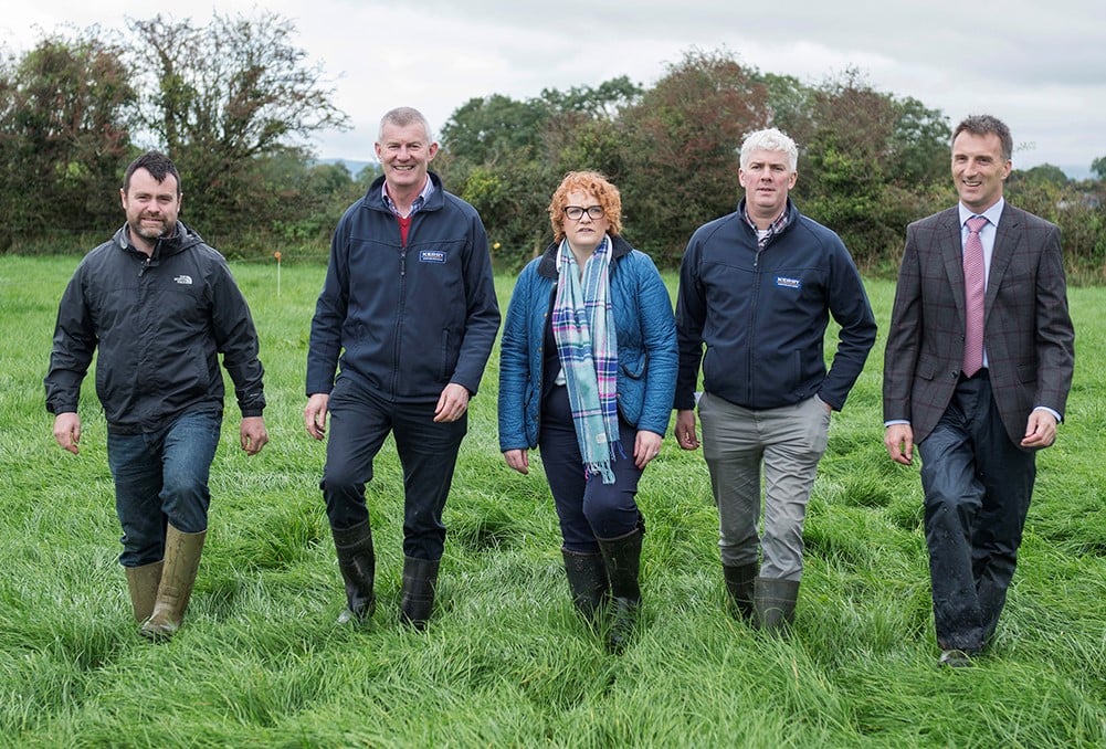 L-R: Karol Kissane, dairy farmer; John Joe Dineen, Kerry Agribusiness; Majella Moloney, Teagasc Kerry/Limerick regional manager; Pat Rodgers, Kerry Agribusiness; and Dr. Tom O’Dwyer, head of Dairy Knowledge Transfer at Teagasc. Image source: O’Gorman Photography