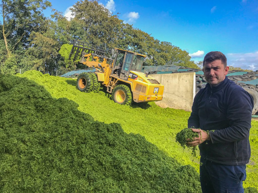 John Wynne on his farm in Co. Wicklow