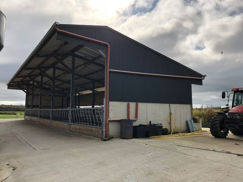 Rainwater is collected and stored in the water trough