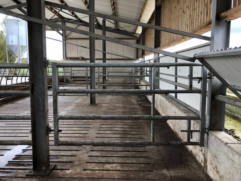 Gate at the back of the pen which allows for the ease of movement of cattle
