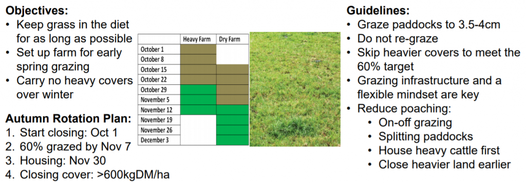 Autumn Grassland Management