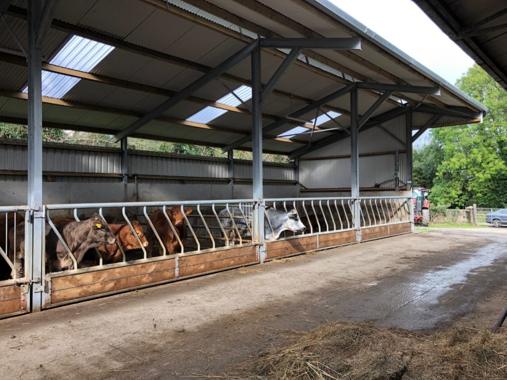 High-pitched roof allows for good airflow throughout the shed