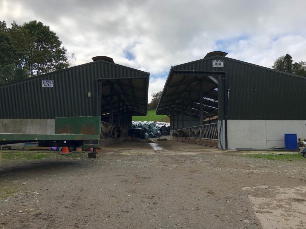 Original slatted unit on the left and the new shed on the right