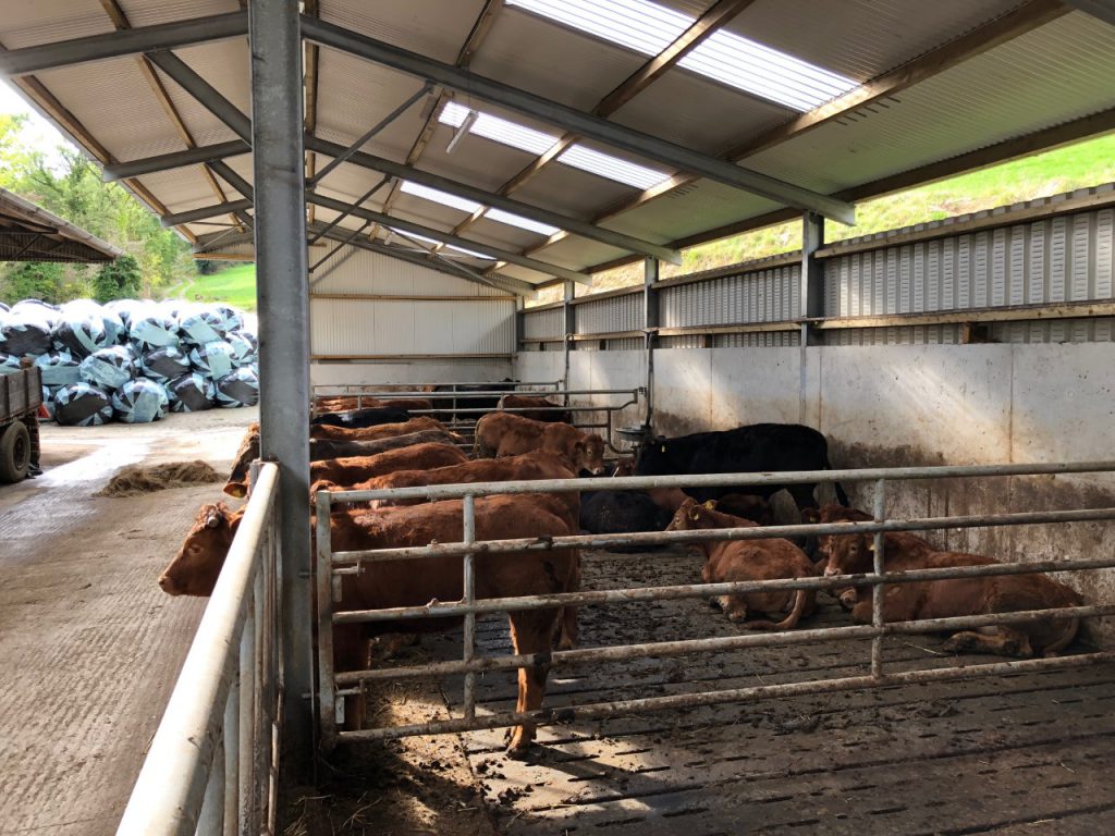 A high-pitched roof with airspace at the back of the unit allows for good airflow throughout the shed, reducing the risk of respiratory diseases