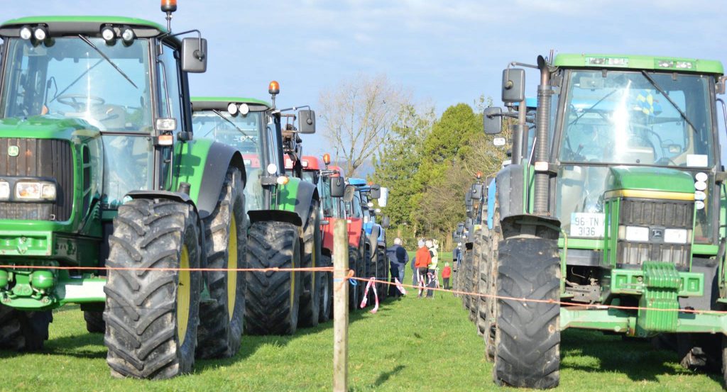 Image source: Esther Fox