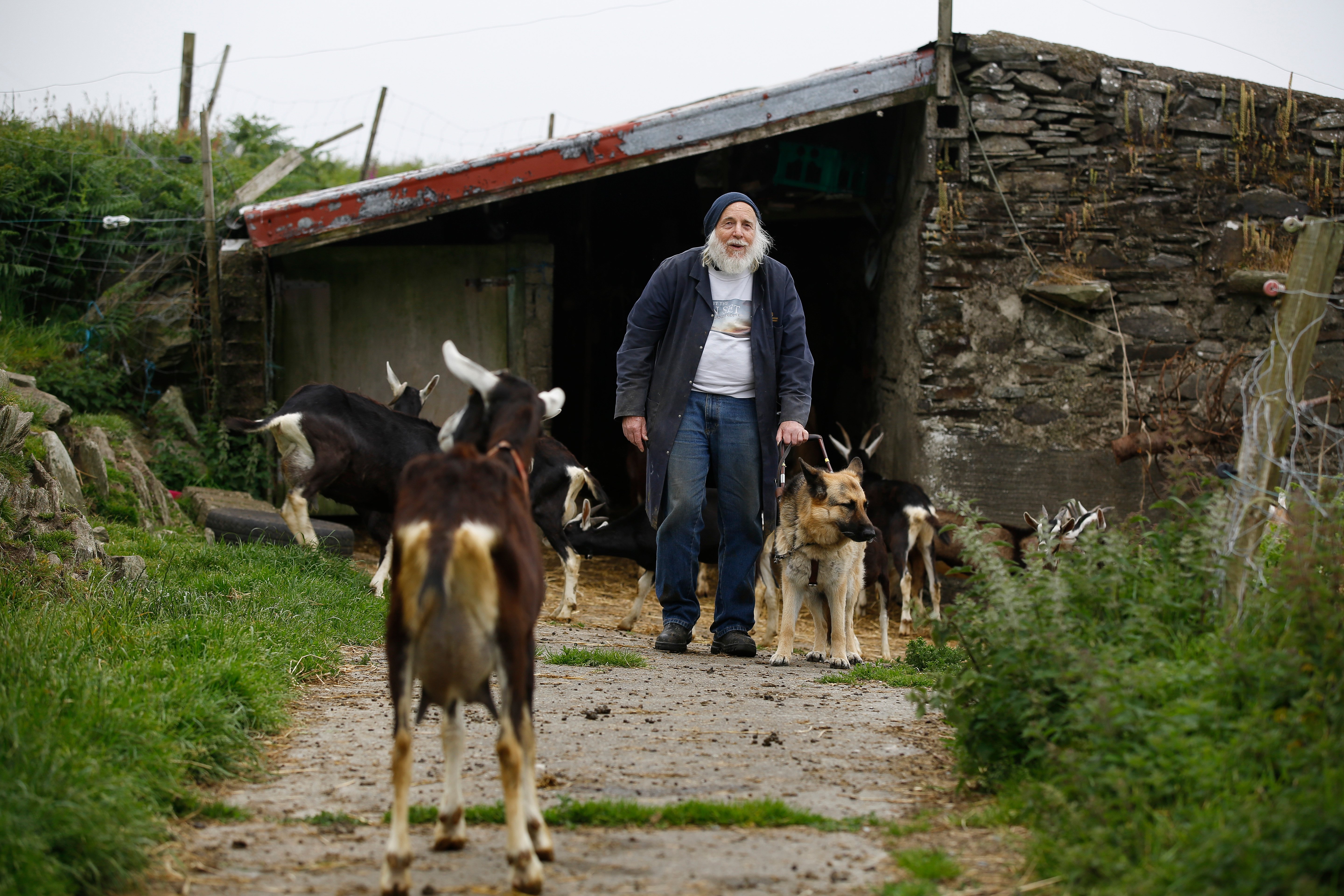 Ed Harper and Izzy. Image source: Conor McCabe